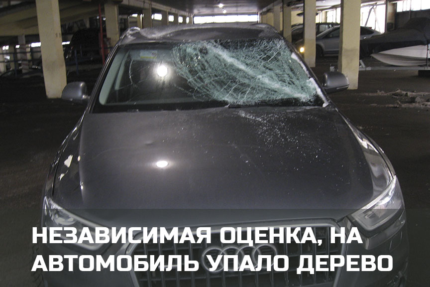 Независимая оценка и взыскание ущерба, если на машину упало дерево в  и Карелии